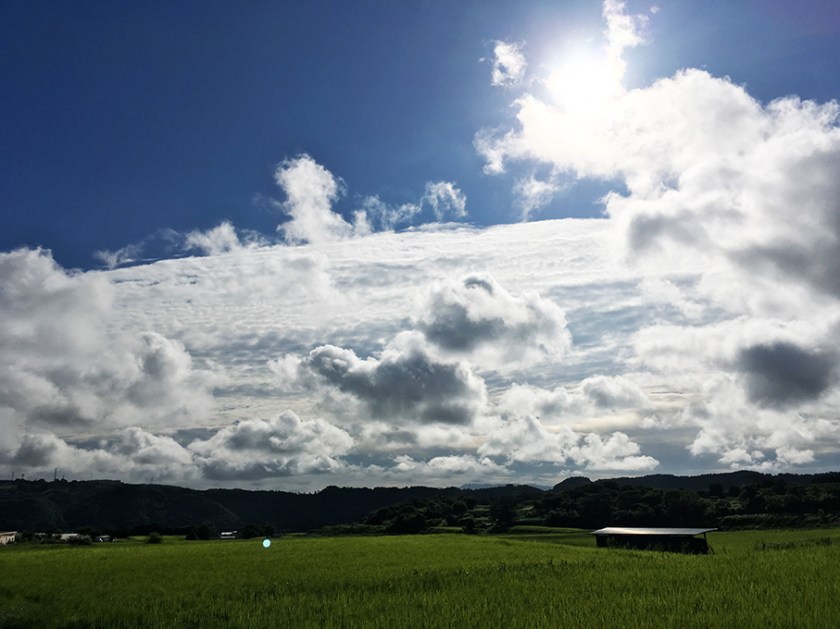 TopPageImage20160815-